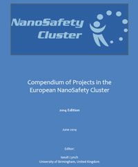 NanoSafety Cluster report