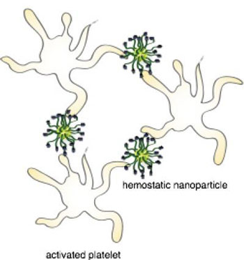 a schematic of hemostatic nanoparticles linking with blood platelets