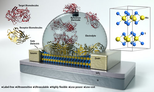 Concept art of a molybdenum disulfide field-effect transistor based biosensor