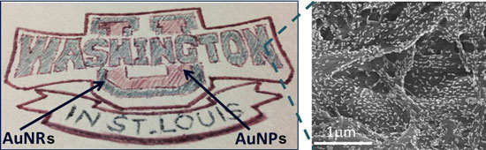 A hand drawing of Washington University logo using gold nanorods (AuNRs) and gold nanospheres (AuNPs) as plasmonic ink