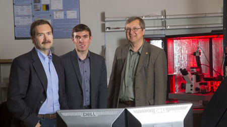 Left to right, University of Nebraska-Lincoln scientists Alexei Gruverman, Alexander Sinitskii and Evgeny Tsymbal