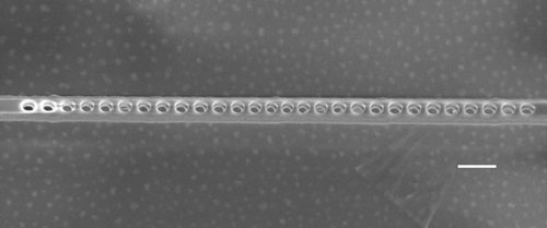 A scanning electron microscope image of a diamond photonic cavity
