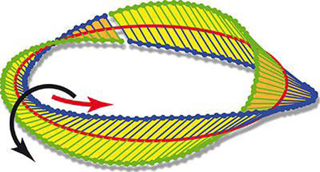 Strong focussing can generate a Möbius strip from circularly polarised light