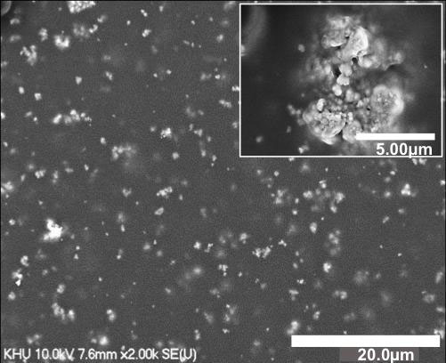 Bismuth Ferrite Nanoparticles Embedded in a Polymer Film
