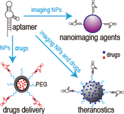 Aptamers and Their Applications in Nanomedicine