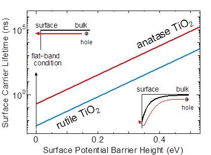 surface carrier lifetime of anatase and rutile TiO2