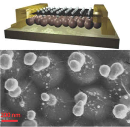 two planar arrays of metal nanoparticles are fabricated that are vertically separated by atomic dimensions, corresponding precisely to the thickness of a single layer of graphene