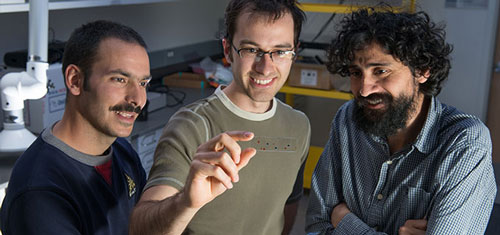 Adrien Benusiglio, Nate Cira and Professor Manu Prakash observe a slide of 'dancing droplets'