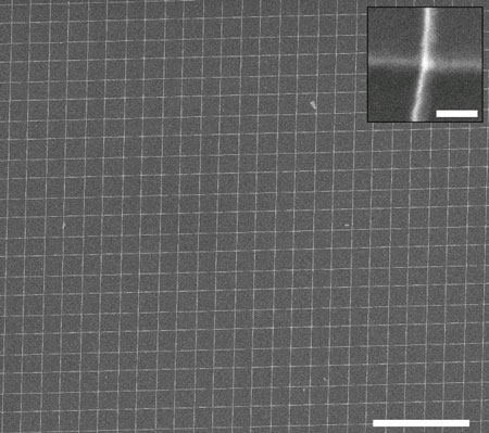 This crossbar array was produced with the meniscus-mask lithography technique