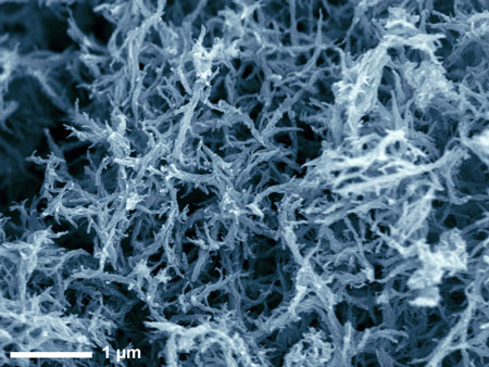 sheet-like and fibrous nanostructures