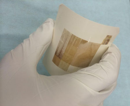 polysilicon layer was directly formed on paper by coating liquid silicon