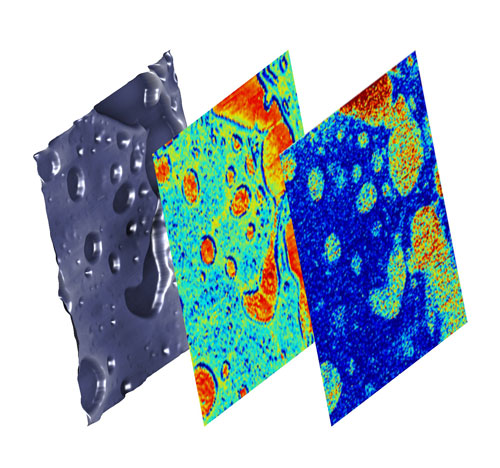 surface topography, elasticity of the bulk material and buried chemical behavior