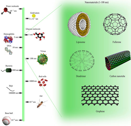 Comparison of nanomaterials sizes