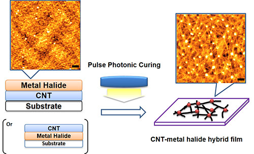 CNT transparent conductive film production process