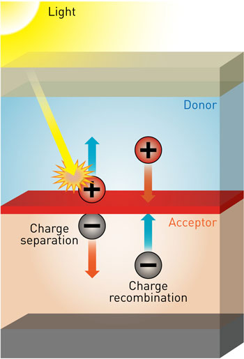 donor/acceptor interfaces on organic photovoltaics