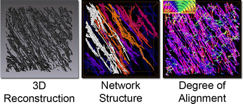 Carbon Nanotube Network Structure in nanocomposites