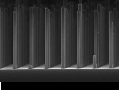 >Array of nanowires gallium phosphide made with an electron microscope