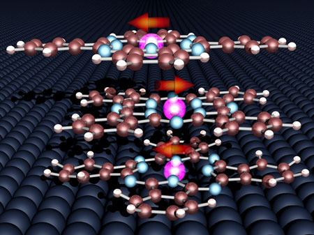 The magnetic moments of the three organic molecules and the cobalt surface align