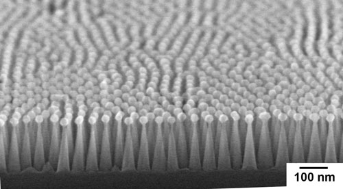 An image of a silicon moth eye, fabricated by polymer self-assembly