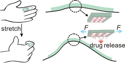a stretchable drug delivery mechanism