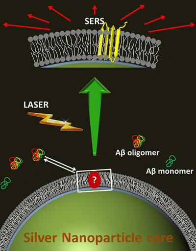 toxic Alzheimer's amyloid beta molecules landing on a fake cell membrane