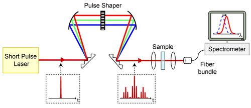 two-dimensional spectroscopy setup