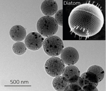 A transmission electron microscopy image of graphitic carbon spheres with a hierarchical pore structure