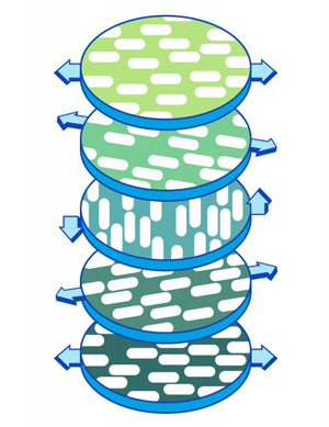 A schematic of cellulose fibers in the cholesteric phase