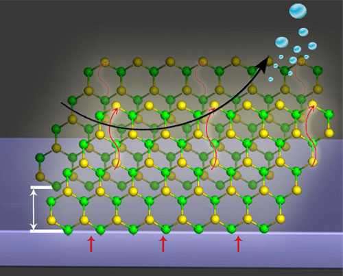 A schematic representation of the edge-terminated MoS2 on glassy carbon electrode