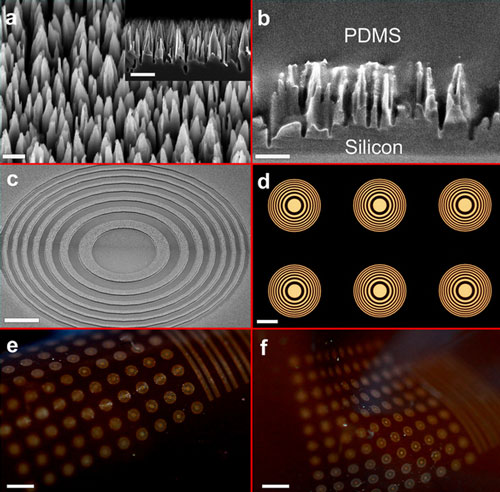 silicon nano-wire towers make up dark regions of the flexible Fresnel zone lenses