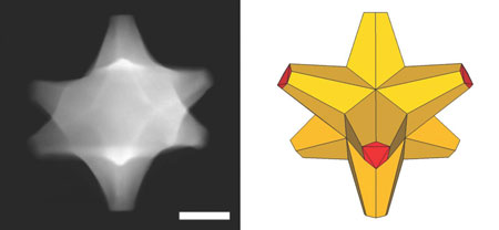 nanoscale that has both plasmonic and catalytic abilities