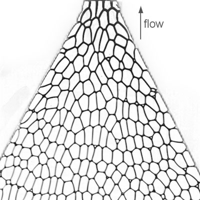 the flow of a foam confined as a bubble monolayer between two plates through a convergent channel