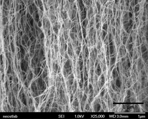carbon nanotube forest