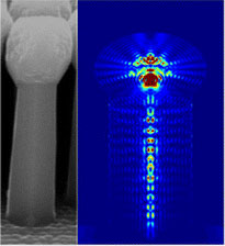 Match-head nanowire structure