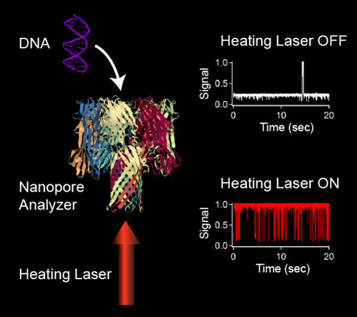 DNA nanopore sensing