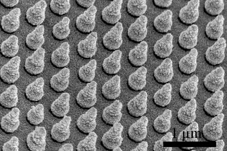 arrays of silicon nanocones