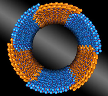 a peptoid (a stand-in for a small protein) composed of two chemically distinct blocks (shown in orange and blue) that assembles itself into tiny tubes
