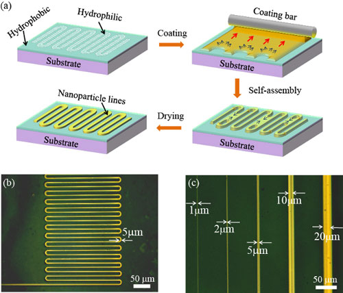 Formation of microcircuit lines using a selective coating technique
