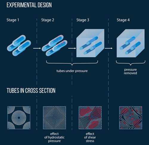 nanotube fusing process