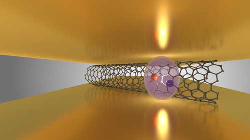 strong light-matter coupling in semiconducting carbon nanotubes
