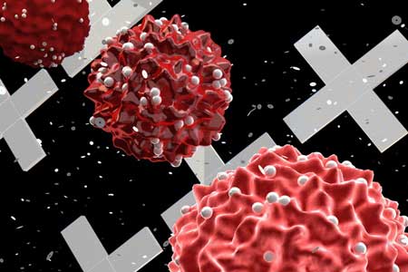 Circulating tumour cells are targeted with magnetic nanoparticles