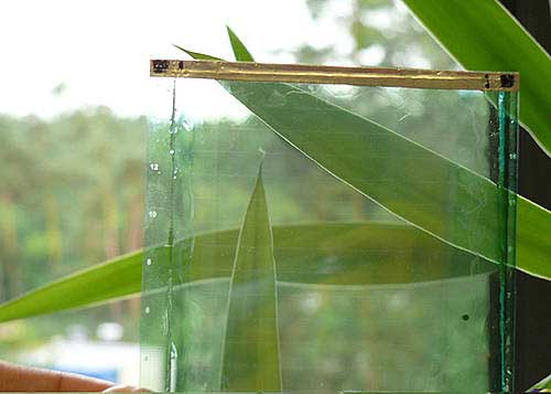 flexible and transparent solar cells