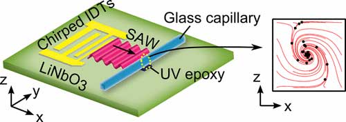 acoustofluidic chip generates single vortex acoustic streaming inside a glass capillary