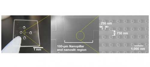 Nanobiodevice for Ultrafast Cancer Detection