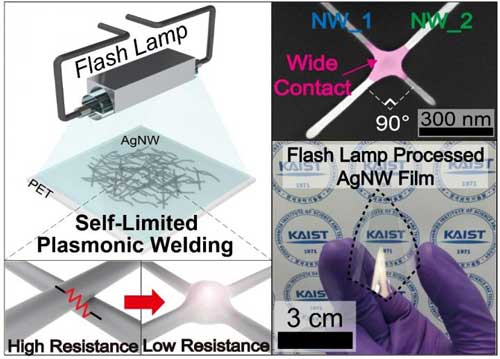 silver nanowires on a polyethylene terephthalate (PET) film