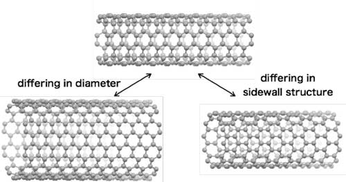 Carbon nanotubes that have different diameters and sidewall structures