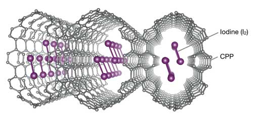 X-ray structure of [10]CPP-I, carbon atoms are colored in gray and iodine atoms are colored in purple