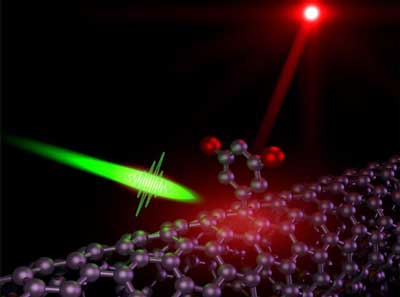 carbon nanotube quantum light emitter