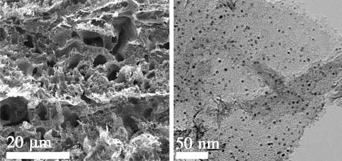 The hydrogen side seen in electron microscope images features platinum particles (the dark dots at right) evenly dispersed in laser-induced graphene (left)