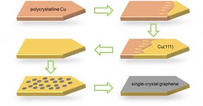 schematic Diagrams for Epitaxial Growth of Single-Crystal Graphene